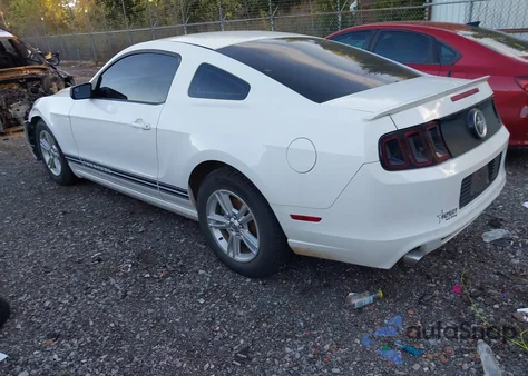 2013 Ford Mustang V6 z USA, uszkodzony, nr VIN 1ZVBP8AM1D5274852